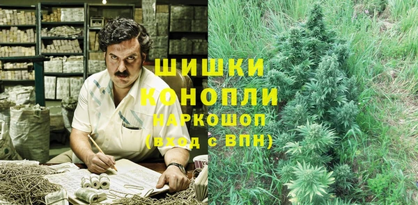 гашик Новодвинск