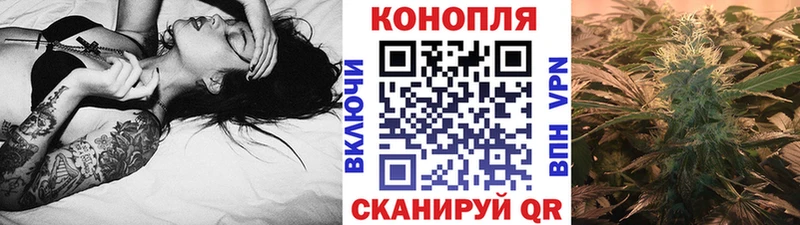 Шишки марихуана индика  где купить наркотик  Няндома 
